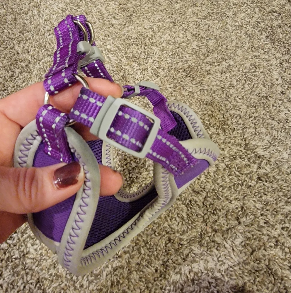 Purple and Gray Small Dog Harness